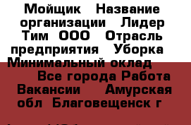 Мойщик › Название организации ­ Лидер Тим, ООО › Отрасль предприятия ­ Уборка › Минимальный оклад ­ 15 300 - Все города Работа » Вакансии   . Амурская обл.,Благовещенск г.